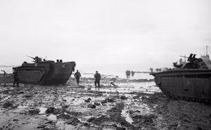 The British Army in North-west Europe 1944-45 Original caption: "Invasion of Walcheren Island. Amphibious tanks on the beach, showing troops (Marines) wading ashore in the background" Catalogue description " LVT Buffalo amphibians during the invasion of Walcheren Island, 1[sic] November 1944."