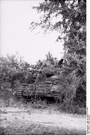 Frankreich, Sommer 1944, getarnter Panzer IV in Deckung; PK Fallschirmjäger AOK