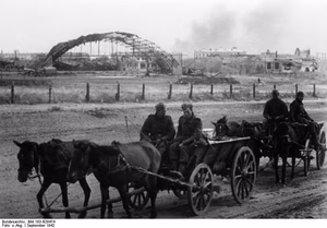 For documentary purposes the German Federal Archive often retained the original image captions , which may be erroneous, biased, obsolete or politically extreme . Russland, Kampf um Stalingrad, Grenadiere ADN-ZB II. Weltkrieg 1939-1945 Grenadiere der faschistischen deutschen Wehrmacht vor dem hart umkämpften Flugplatz und der Fliegerschule von Stalingrad (September 1942) [Herausgabedatum] [Sowjetunion.- Schlacht um Stalingrad]
