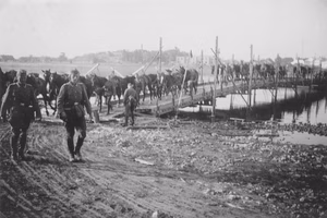 Bilder meines Großvaters, wären der Jahre 1939 bis 1943, Beschreibungen folgen später