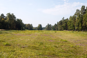 The former camp's main street, Bergen-Belsen concentration camp memorial.