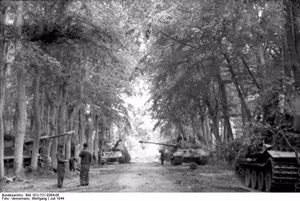 Frankreich, Park von Château Canteloup.- Panzer VI "Tiger II" (Königstiger) mit Porscheturm der schweren Panzerabteilung 503 (1./s.Pz.Abt.503) unter Bäumen stehend; KBZ Ob. West (A Panzer VI Tiger 1, is on the right mostly obscured by camouflage.) — Canteloup