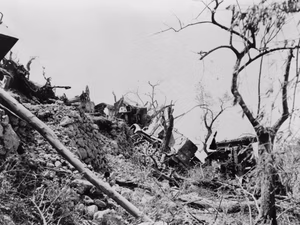 German vehicles destroyed by an air attack north of Cassino, Italy, in 1944. The halftrack artillery tractor carries the identification plate "WH 1028 348".