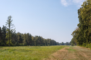The former camp's main street, Bergen-Belsen concentration camp memorial.