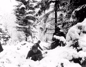 American infantrymen of the 290th Regiment fight in fresh snowfall near Amonines, Belgium