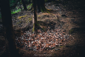 Foto van een Foxhole, waart de soldaten zich ingroeven. Photography by Alexis Faucon