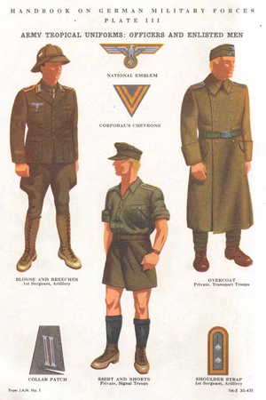 Army tropical uniforms: officers and enlisted men , uniforms of the German Wehrmacht's Afrika Korps ca. 1943 Colour plate III from "Handbook On German Military Forces" (TM-E 30-451 1 September 1943), a manual published by the the Military Intelligence Division of the United States War Departement , restricted during World War Two , declassified since then. It shows the insignia, uniforms, etc., of the Third Reich Wehrmacht in wartime Germany. No known copyright restrictions.