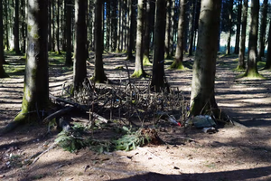 Foto van een Foxhole, waart de soldaten zich ingroeven.