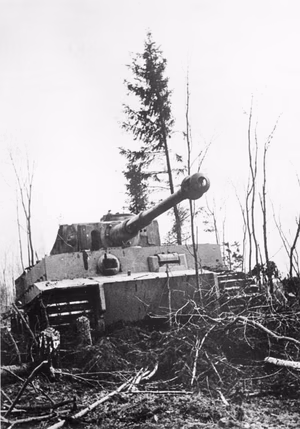 For documentary purposes the German Federal Archive often retained the original image captions , which may be erroneous, biased, obsolete or politically extreme . Der "Tiger" an der Ostfront vor Leningrad