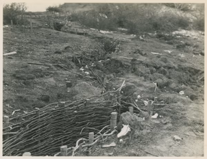 Fortifications of the Gothic line in the Apennines used against Fifth Army, November, 1944.
