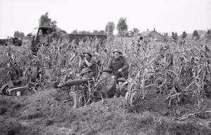 A Vickers machine-gun team of 5th Royal Northumberland Fusiliers, 59th (Staffordshire) Division in position in a field of corn at Someren in Holland, 21 September 1944. A Vickers machine-gun team of 7th Royal Northumberland Fusiliers, 59th (Staffordshire) Division in position in a field of corn at Someren in Holland, 21 September 1944.