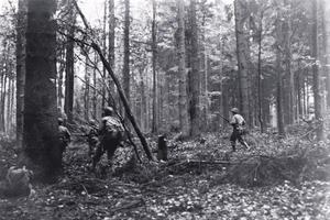 Soldiers from the 28th Infantry Division advance through the Hürtgen Forest in Germany on Nov. 2, 1944, during the Battle of Hürtgen Forest. (U.S. Army photo by pfc. G. W. Goodman)