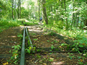Buchenwald - Bahnreste (Railway Track Remnants)