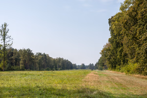 The former camp's main street, Bergen-Belsen concentration camp memorial.