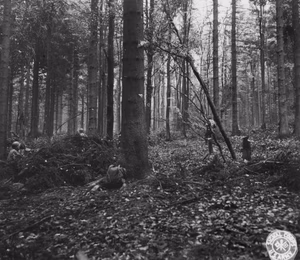 Company E, 110th Infantry Regiment, 28th Infantry Division. Photographer: Pfc. W. Goodman.