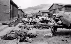 Mauthausen