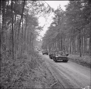 The British Army in North-west Europe 1944-45 Universal carriers of the 2nd Seaforth Highlanders in the Reichswald forest, 10 February 1945.