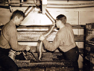 80-G-30234: Operation Torch, November 1942. Activities onboard USS Ranger (CV-4) during the campaign. Shown: Aviation Ordnancemen belted over one million rounds of 50 calibre machine guns ammunition in preparation for the Amphibious Force invasion of French North Africa. Aviation Ordnanceman 2/C C.F. Boyette and Aviation Ordnanceman 2/C J.L. Haddigan, right, stow away a few thousand rounds already belted. Official U.S. Navy Photograph, now in the collections of the National Archives. (2017/06/06).