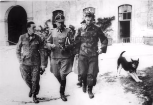 Frankreich, 12. SS-Panzer-Division "Hitlerjugend".- Offiziere der Waffen-SS, v. l. Kurt Meyer ("Panzermeyer"), Fritz Witt und Max Wünsche im Kloster Ardenne bei Caen — Frankreich