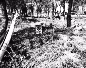 German minefield in Southern France, 15 August 1944. Taken by crewmembers of USS Catoctin (AGC-5).