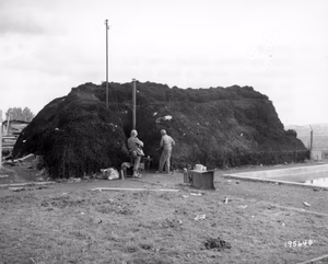 1st Infantry Division. Photographer: Moran.