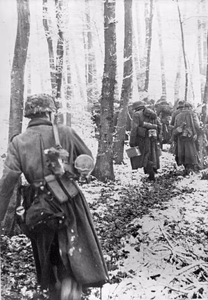 Bundesarchiv: German infantry advancing through Ardennes forest, December 1944