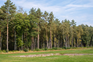 The former camp's main street, Bergen-Belsen concentration camp memorial.
