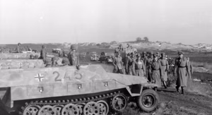 Belgien, Nordfrankreich.- Besichtigung des Panzerregiment der 12. SS-Panzerdivison "Hitlerjugend" durch Generalfeldmarschall Gerd von Rundstedt.- Abschreiten einer Aufstellung von mittleren Schützenpanzer (Sd.Kfz. 251), im Vordergrund Nr.245 mit 8-cm-Gran — Frankreich