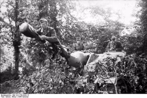 Frankreich.- Luftwaffen-Soldat auf dem Kanonenrohr eines getarnten Sturmgeschütz unter Bäumen; PK "Signal"-Einsatz — Frankreich