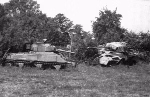 Destroyed tanks on Mont Ormel (Hill 262). Left is a Sherman, right foreground is an SdKfz 251, behind it is a Panther