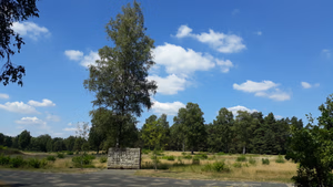 German concentration camp Bergen-Belsen