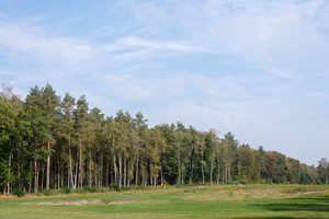 The former camp's main street, Bergen-Belsen concentration camp memorial.